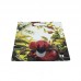 3 LITRE CIDER POUCH INCLUDING TAP